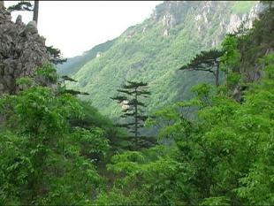 Panorama  Valea Cernei